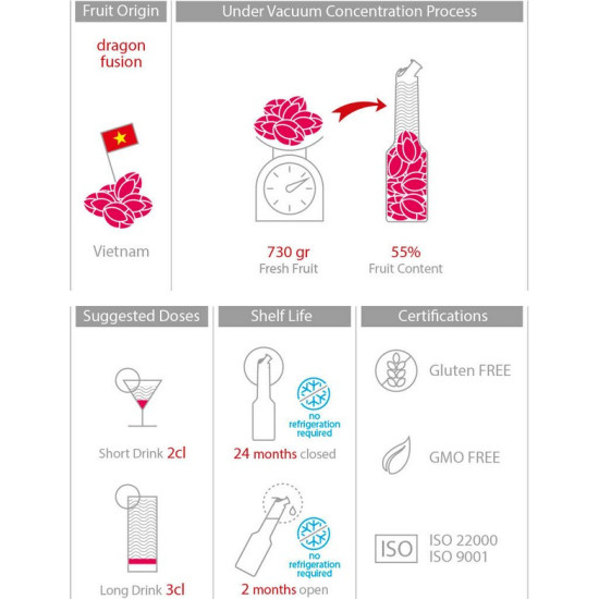 Mixer Пюре Драконов плод 1L Oriental Fruit Dragon Fusion